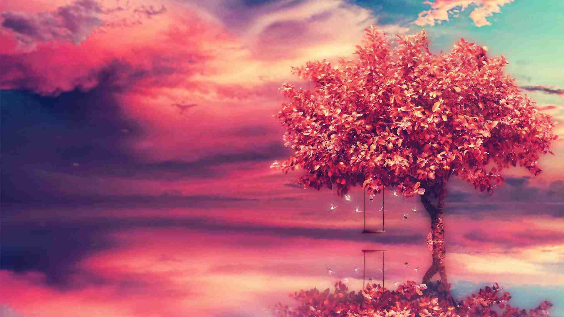 banner1